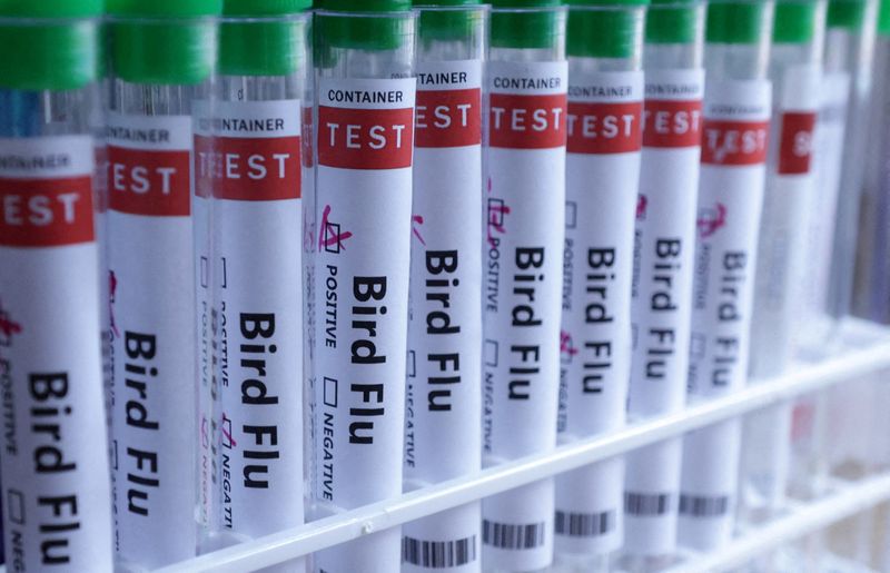 California lab sends some bird flu tests out of state during outbreak as workers strike