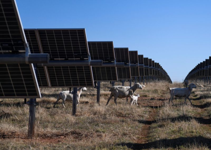 Solar and storage accounted for 84% of new US power added in 2024, report says