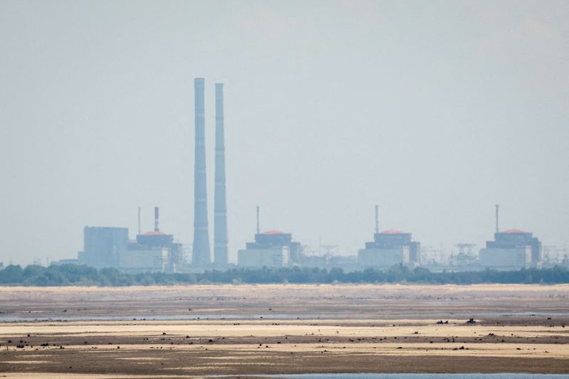 Analysis-Financial folly or pressure tactic? Trump eyes Ukraine’s occupied nuclear plant