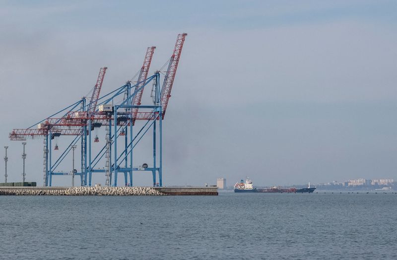 Black Sea deal unlikely to boost Russian food exports in short-term