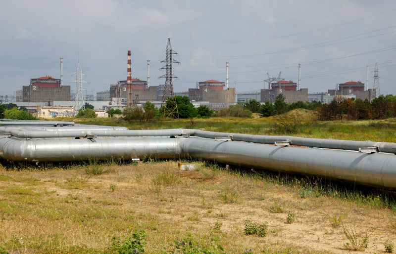 Zaporizhzhia nuclear plant could restart months after ceasefire, IAEA chief says