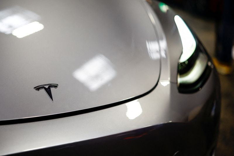 Musk says impact of auto tariffs on Tesla is ’significant’